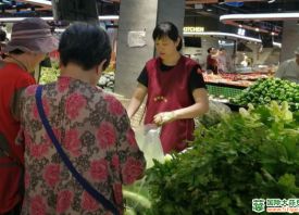 鞍山：蔬菜價(jià)格大幅下跌 ()