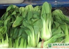 沈陽(yáng)：市民的“菜籃子”變重了 ()