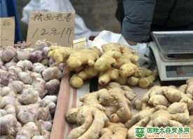 蘭州：綠葉菜、大姜等蔬菜價(jià)格大漲 ()