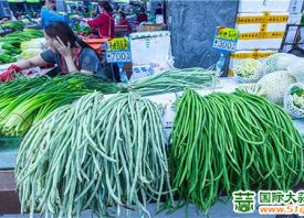 武漢白沙洲：雨后菜價(jià)回落 ()