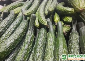 蒜薹：庫(kù)存、鮮貨銷售行情冰火兩重天 ()