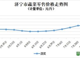 濟(jì)寧市：蔬菜價格以降為主！ ()