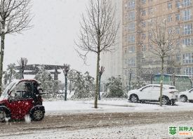 河南3月飄雪 蒜苗還好嗎？ ()