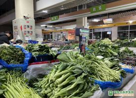 合肥：蔬菜供應(yīng)充足 價格親民 ()