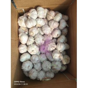 大蒜加工、出口 Garlic exporter