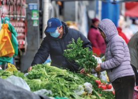 濟(jì)南：降雪期間菜價保持平穩(wěn) ()