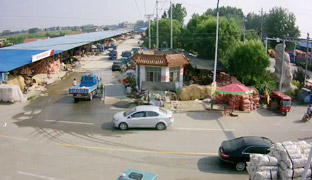 蒼山盧祚大蒜市場(chǎng)南半部大蒜交易實(shí)況